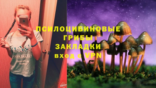первитин Алексин